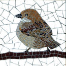 Sparrow